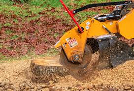 Reliable Griggsville, IL Tree Services Solutions